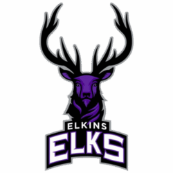 Elkins